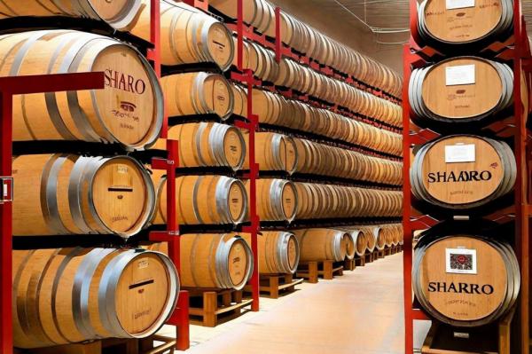 Photo of the Center of culture and wine Shabo Shabo photo